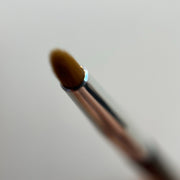 Bullet tint brush